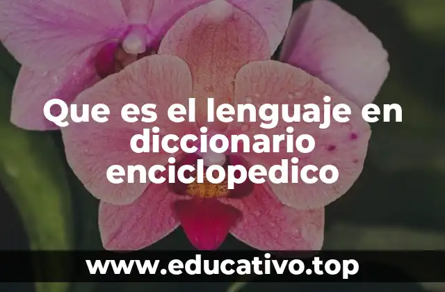 Que es el lenguaje en diccionario enciclopedico