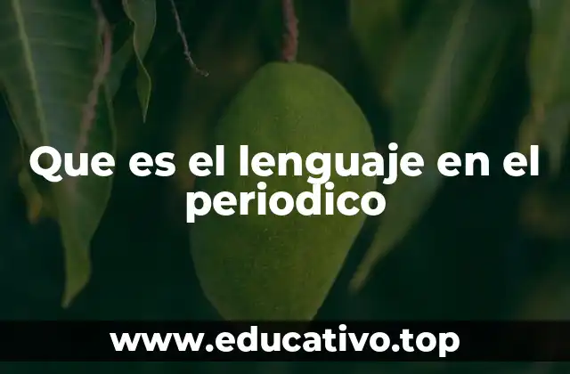 Que es el lenguaje en el periodico