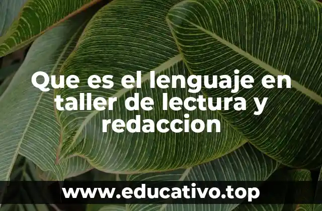 Que es el lenguaje en taller de lectura y redaccion