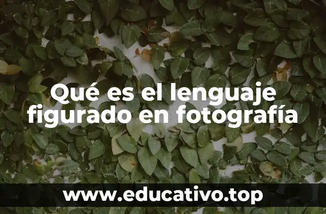 Qué es el lenguaje figurado en fotografía