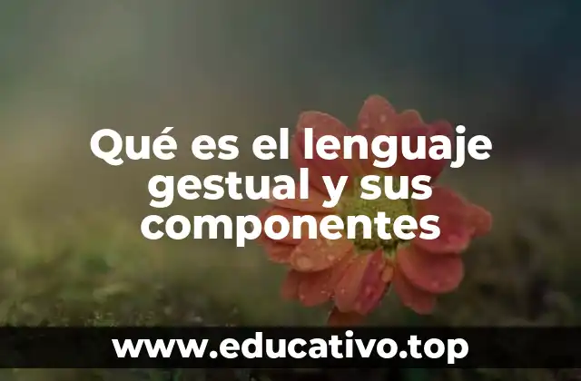 Qué es el lenguaje gestual y sus componentes