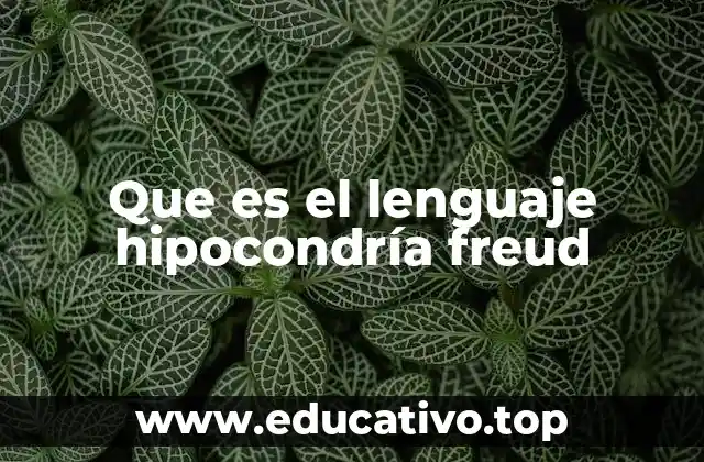 Que es el lenguaje hipocondría freud