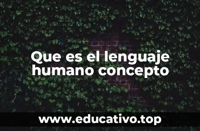 El lenguaje como manifestación de la identidad cultural