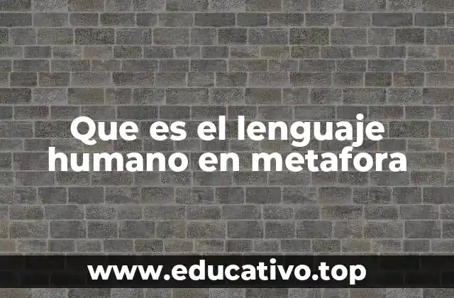 El lenguaje como un espejo del pensamiento