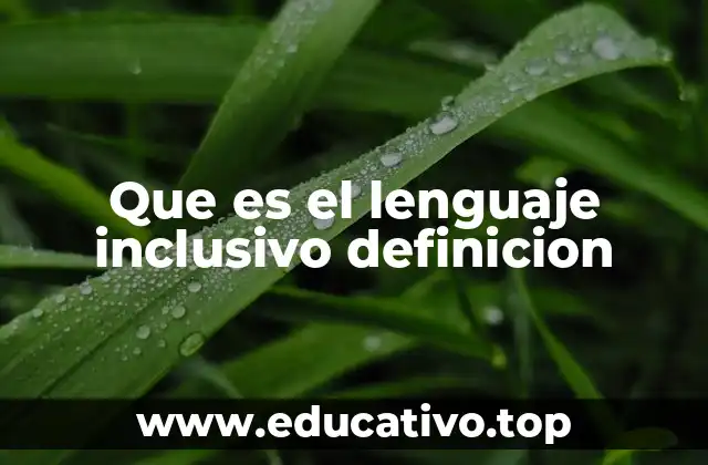 Que es el lenguaje inclusivo definicion