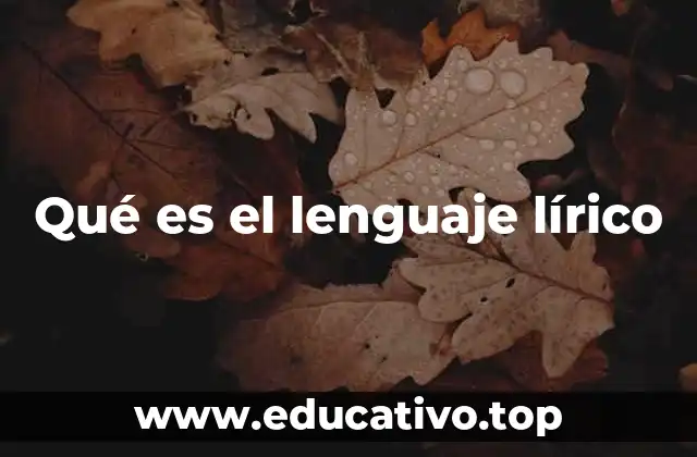 Qué es el lenguaje lírico