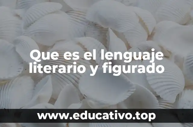 Que es el lenguaje literario y figurado