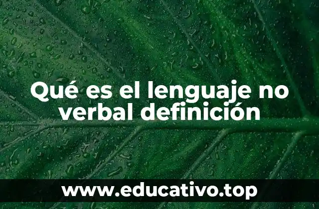 Qué es el lenguaje no verbal definición