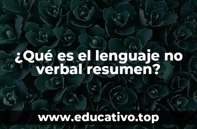 ¿Qué es el lenguaje no verbal resumen?
