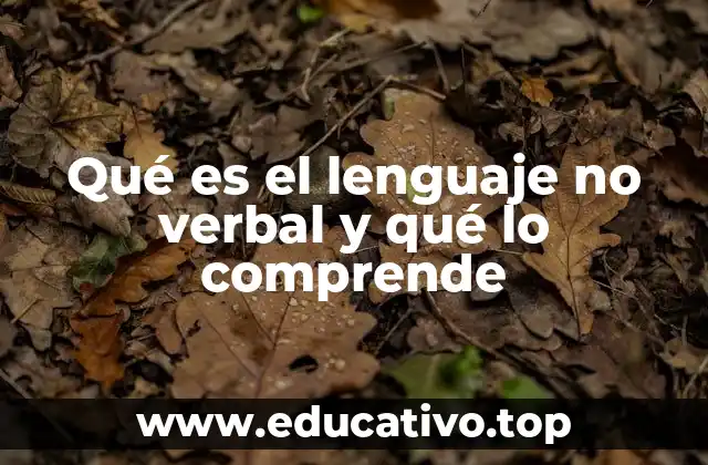 Qué es el lenguaje no verbal y qué lo comprende