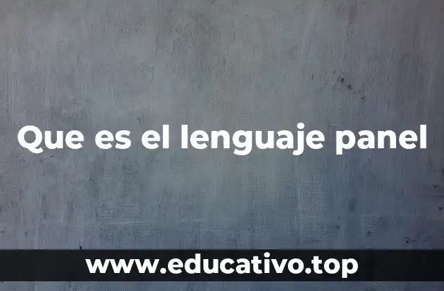 Que es el lenguaje panel