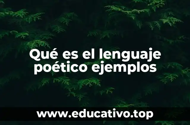 Qué es el lenguaje poético ejemplos