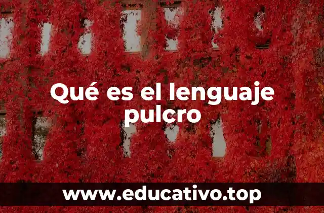Qué es el lenguaje pulcro