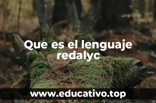 Que es el lenguaje redalyc