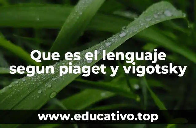 Que es el lenguaje segun piaget y vigotsky