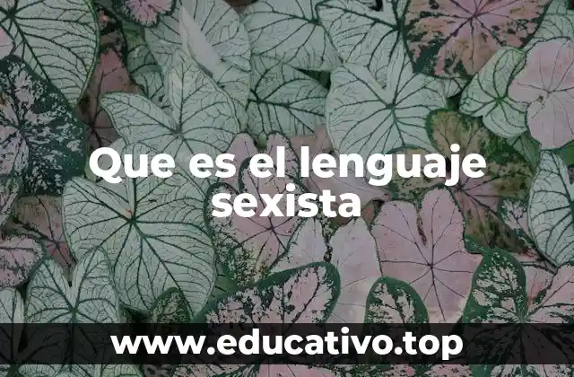 Que es el lenguaje sexista