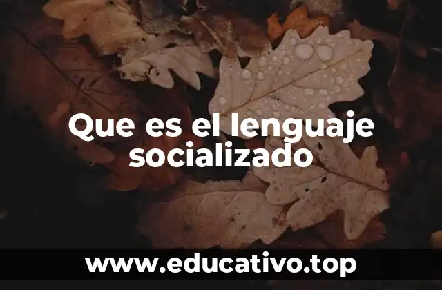 Que es el lenguaje socializado