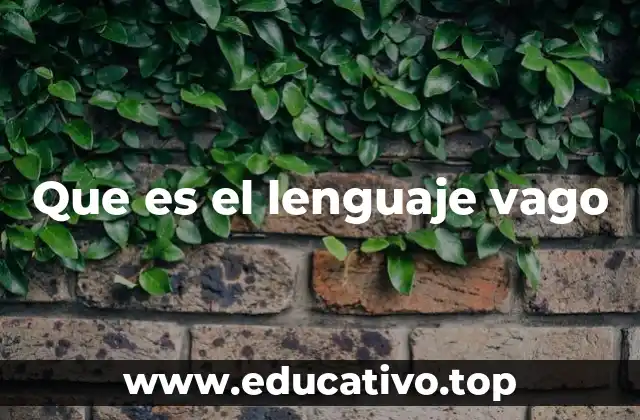 Que es el lenguaje vago
