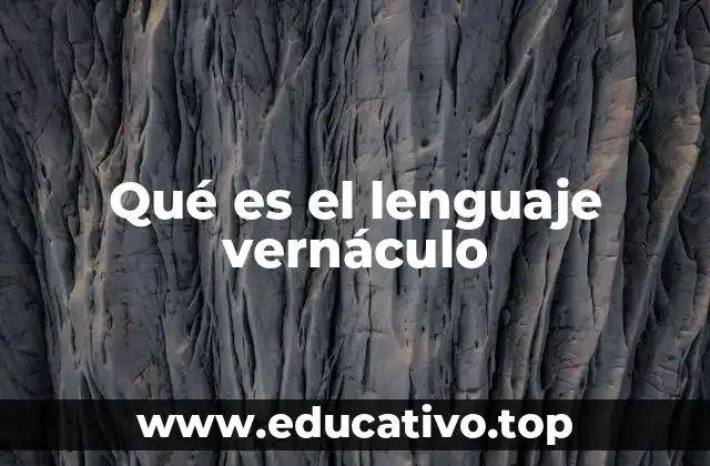 Qué es el lenguaje vernáculo