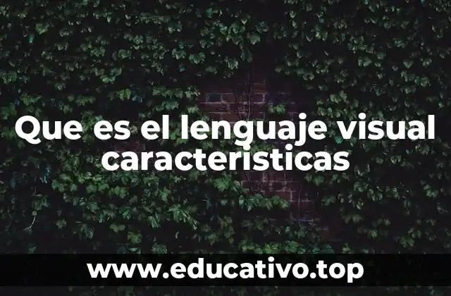 Que es el lenguaje visual caracteristicas