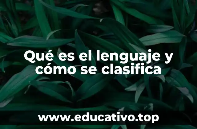 Qué es el lenguaje y cómo se clasifica