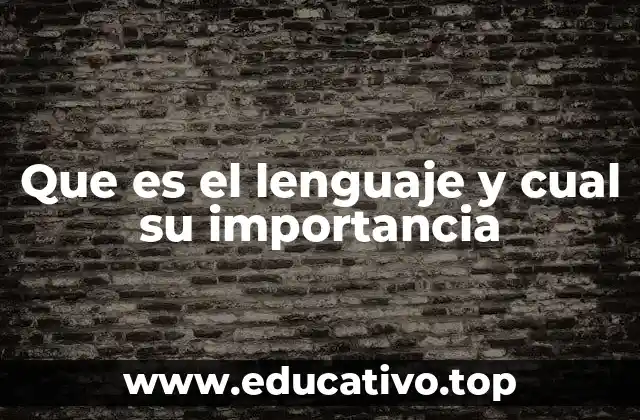 Que es el lenguaje y cual su importancia