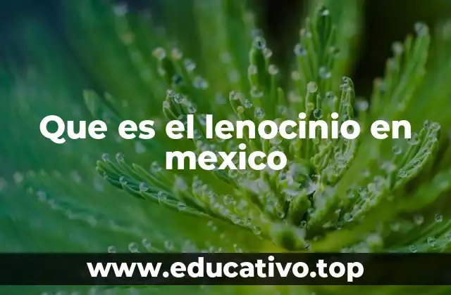 Que es el lenocinio en mexico