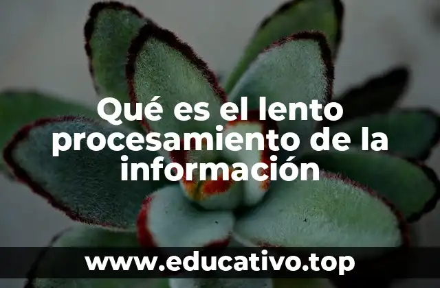 Qué es el lento procesamiento de la información