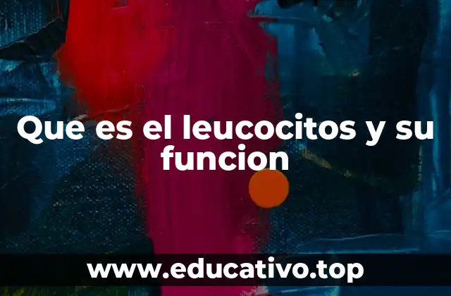 Que es el leucocitos y su funcion
