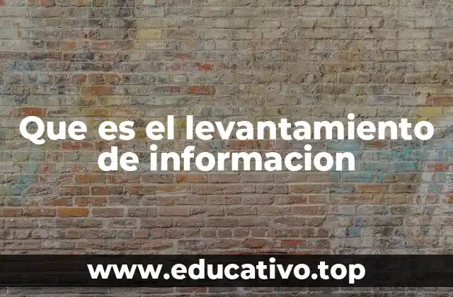 Que es el levantamiento de informacion