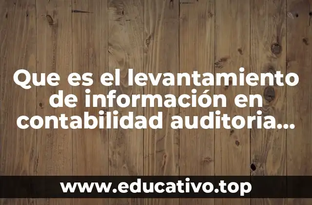 Que es el levantamiento de información en contabilidad auditoria administrativa