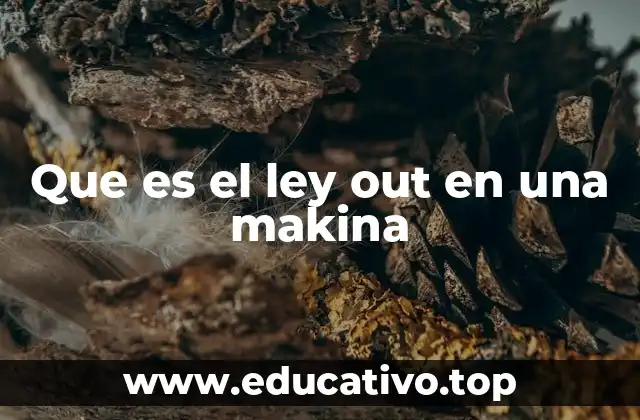 Que es el ley out en una makina