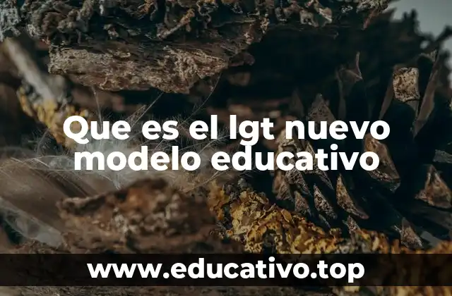 Que es el lgt nuevo modelo educativo