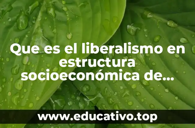 Que es el liberalismo en estructura socioeconómica de mexico