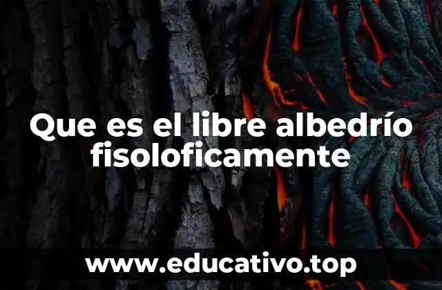 Que es el libre albedrío fisoloficamente