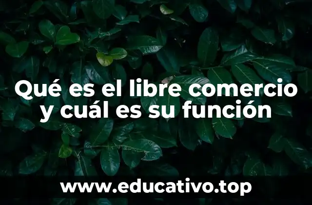 Qué es el libre comercio y cuál es su función