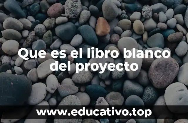 Que es el libro blanco del proyecto