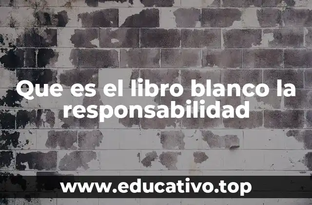 Que es el libro blanco la responsabilidad