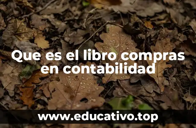Que es el libro compras en contabilidad
