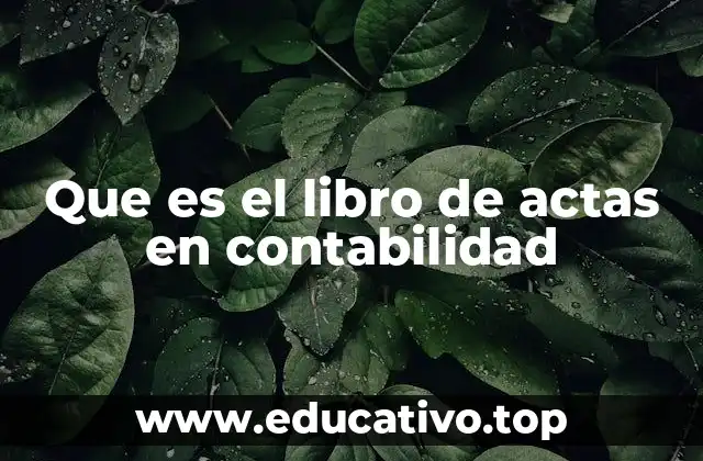 Que es el libro de actas en contabilidad