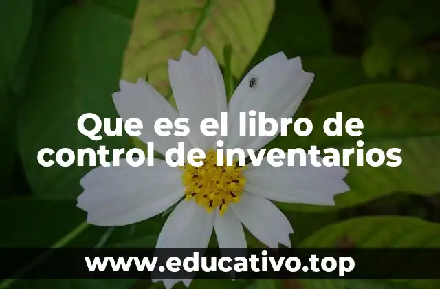 Que es el libro de control de inventarios