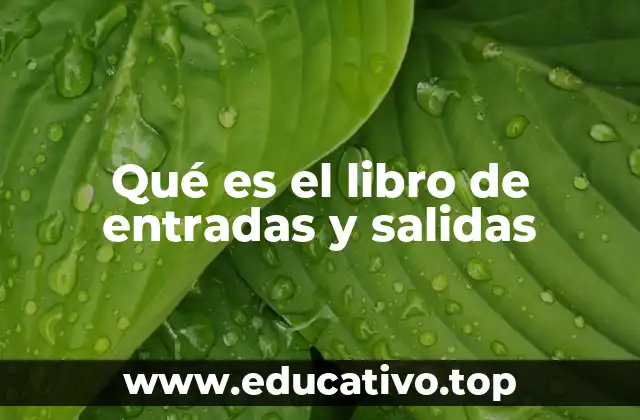 Qué es el libro de entradas y salidas
