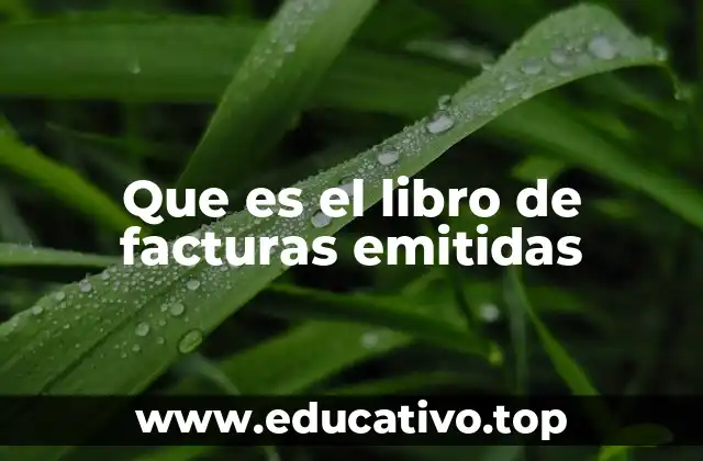 Que es el libro de facturas emitidas