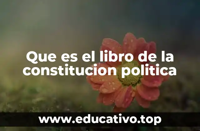 Que es el libro de la constitucion politica