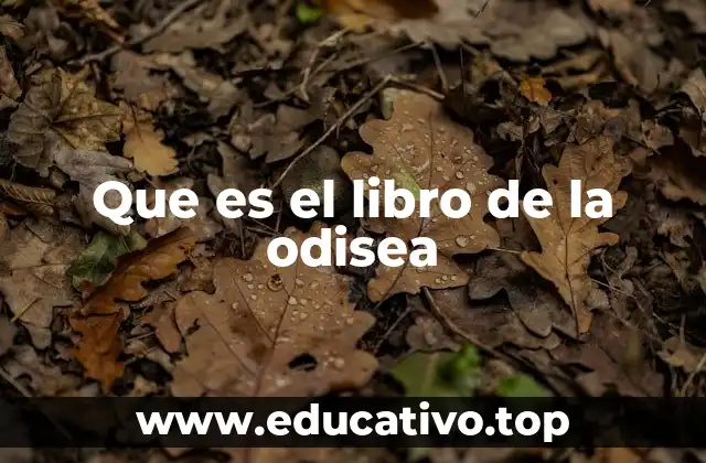 Que es el libro de la odisea