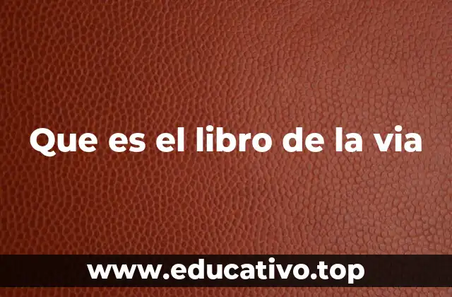 Que es el libro de la via
