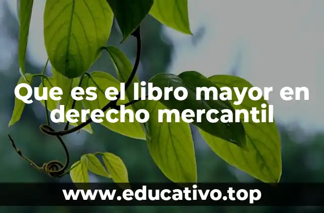 Que es el libro mayor en derecho mercantil