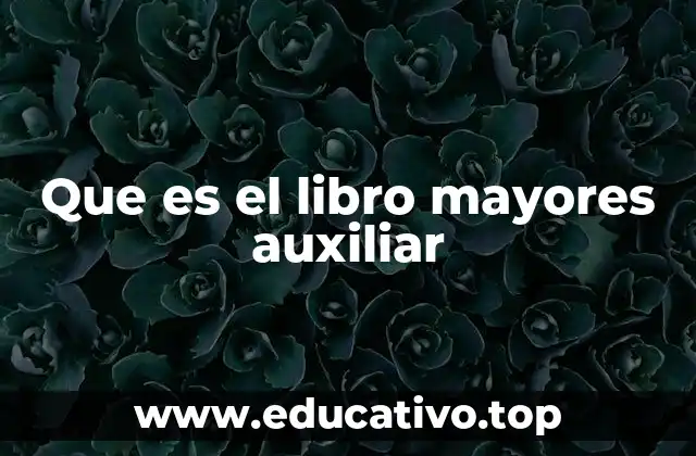 Que es el libro mayores auxiliar