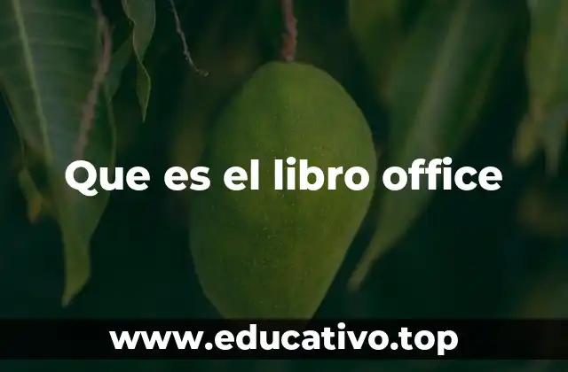 La importancia de aprender con un libro Office