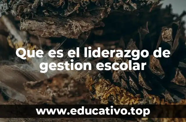 Que es el liderazgo de gestion escolar